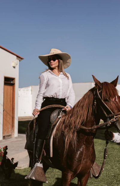 caballos 1
