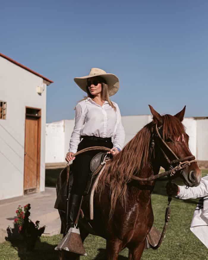 caballos 1
