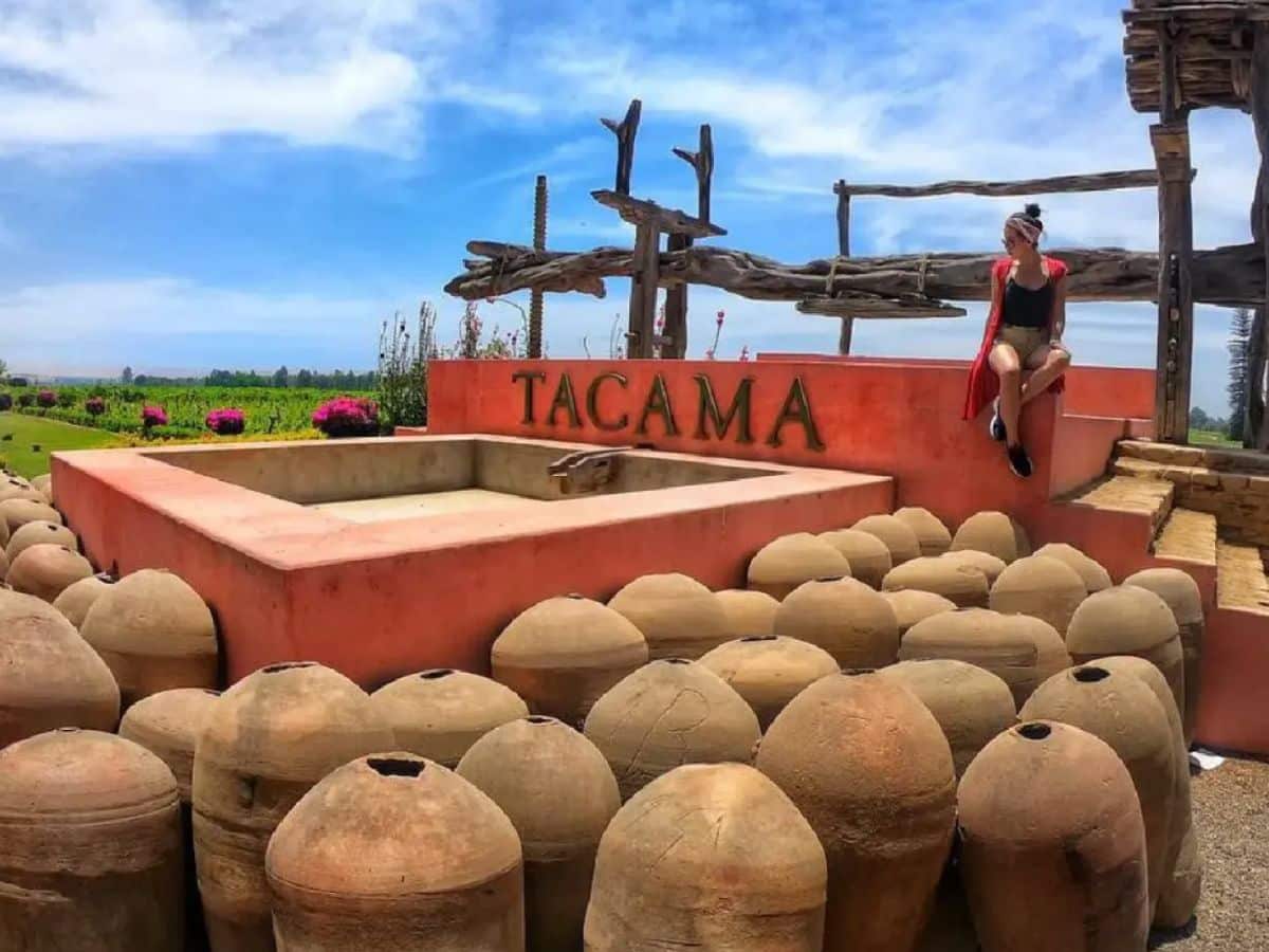 turismo enologico en ica