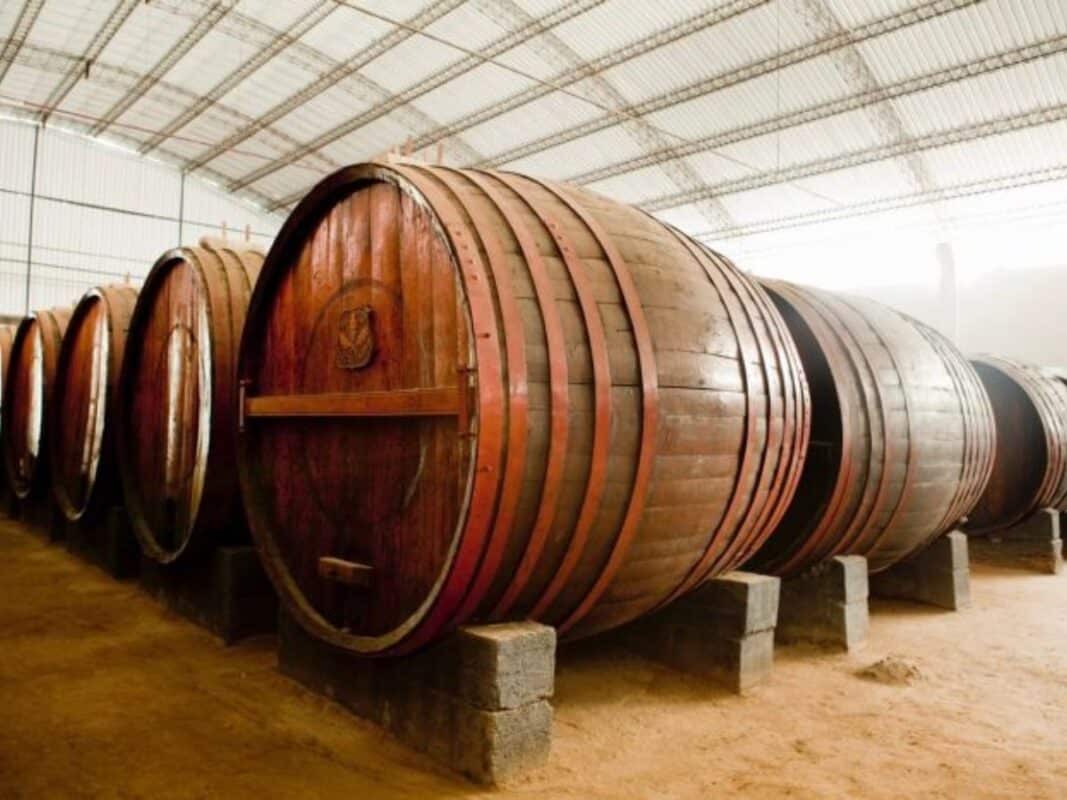 vinos de Ica