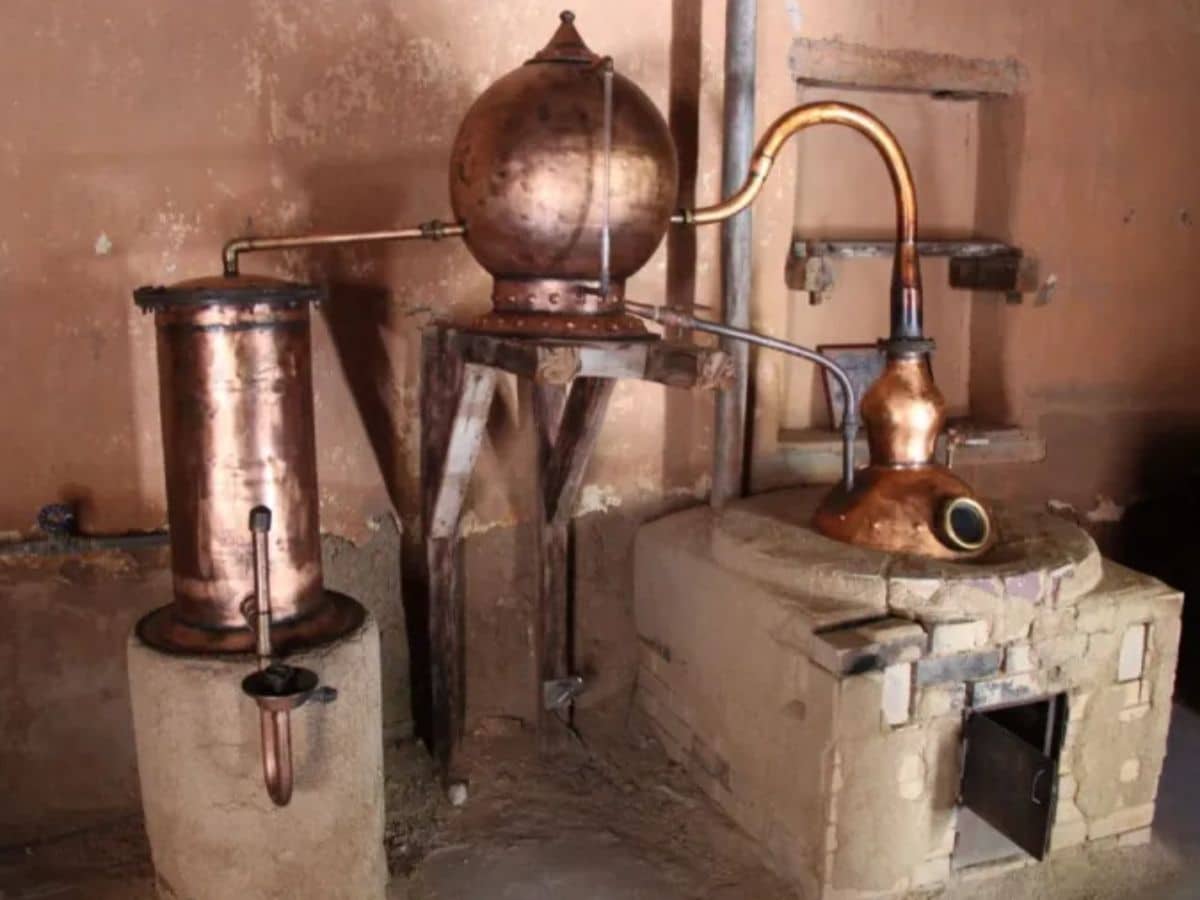 Tipos de pisco peruano