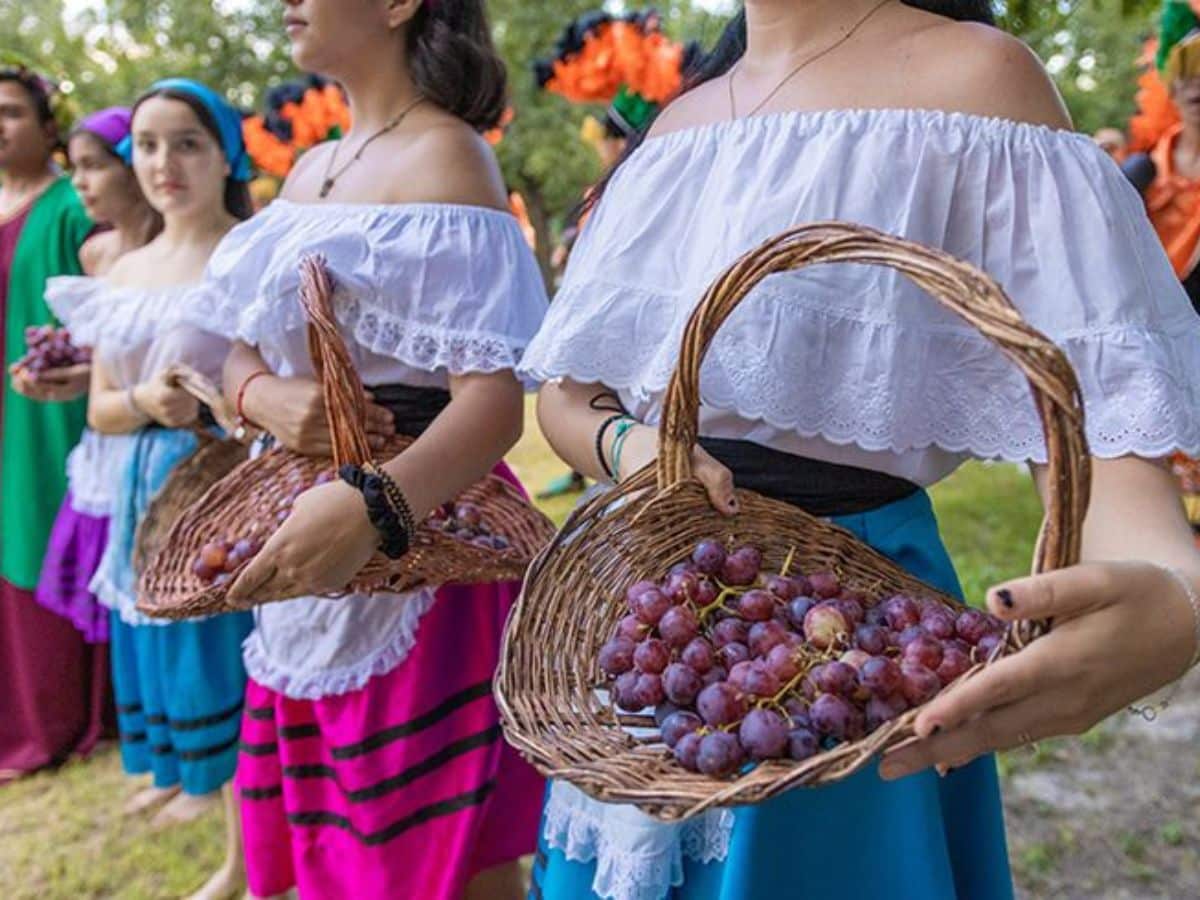 vinos de Ica