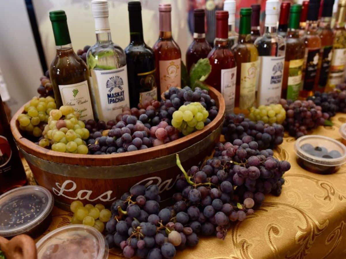 vinos de Ica